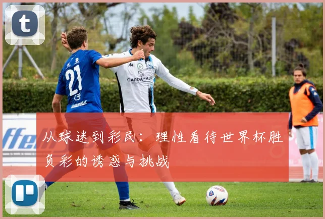 从球迷到彩民:理性看待世界杯胜负彩的诱惑与挑战