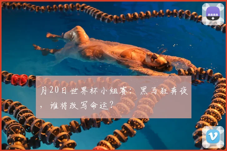 月20日世界杯小组赛:黑马狂奔夜,谁将改写命运?
