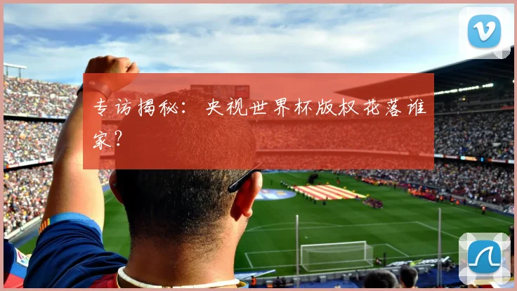 专访揭秘:央视世界杯版权花落谁家?