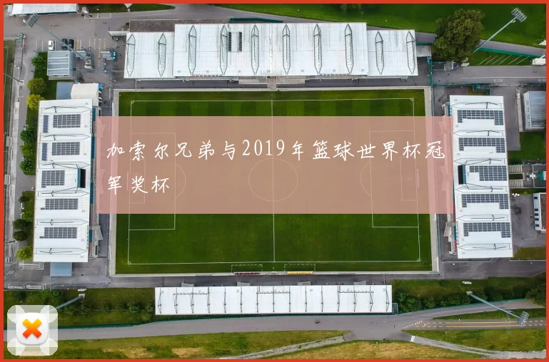 加索尔兄弟与2019年篮球世界杯冠军奖杯