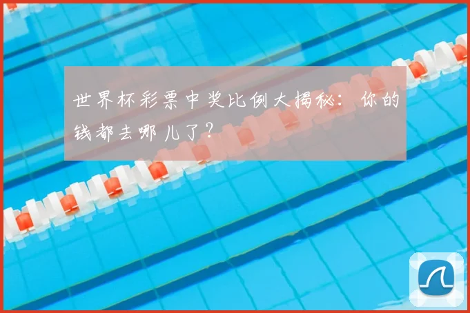 世界杯彩票中奖比例大揭秘:你的钱都去哪儿了?