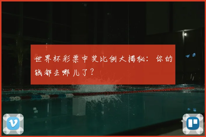 世界杯彩票中奖比例大揭秘:你的钱都去哪儿了?
