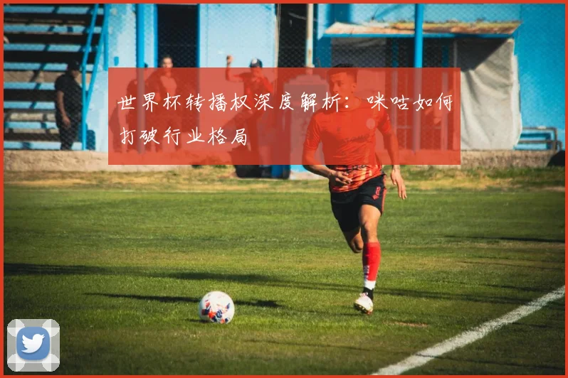 世界杯转播权深度解析:咪咕如何打破行业格局