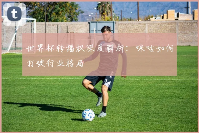 世界杯转播权深度解析：咪咕如何打破行业格局