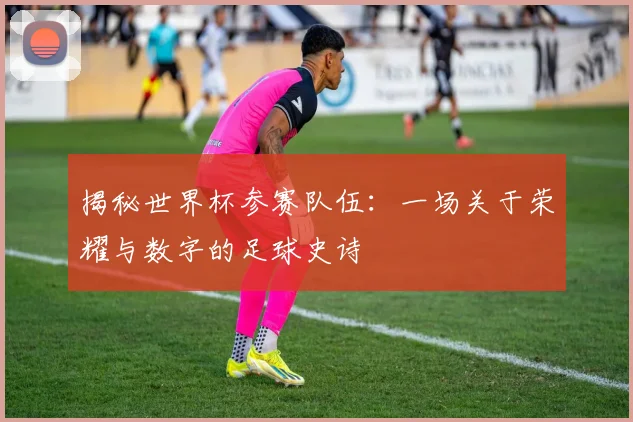 揭秘世界杯参赛队伍：一场关于荣耀与数字的足球史诗