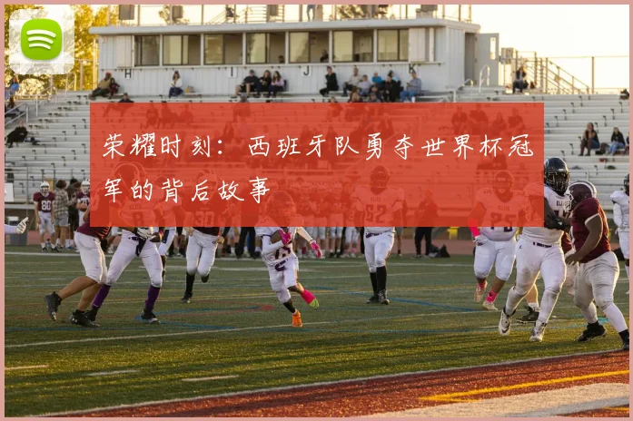 荣耀时刻：西班牙队勇夺世界杯冠军的背后故事